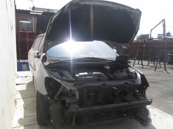 307 S104.2001-06.2005 Mangueta Delantera Izquierda